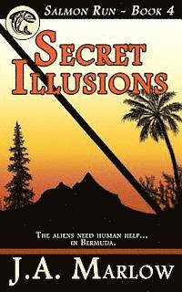 bokomslag Secret Illusions (Salmon Run - Book 4)