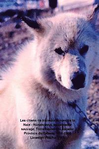bokomslag Les chiens de traîneau et vues de la Nain - Nunatsiavut, au Labrador sauvage, Terre-Neuve-et-Labrador Province du Canada 1965-1966: Photo Albums
