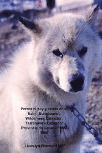 Perros husky y vistas en el Nain - Nunatsiavut, Wilderness Labrador, Terranova y Labrador Provincia de Canadá 1965-1966: Álbum de Fotos 1