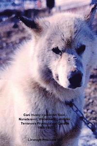 Cani Husky e viste nel Nain - Nunatsiavut, Wilderness Labrador, Terranova Provincia del Canada 1965-1966: Album Fotografici 1