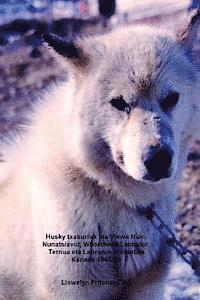 Husky txakurrak eta Views Nain, Nunatsiavut, Wilderness Labrador, Ternua eta Labrador Probintzia Kanada 1965-66: Argazkirik Albumak 1