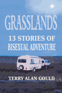 bokomslag Grasslands: 13 Stories of Bisexual Adventure