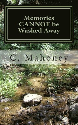 Memories Cannot be Washed Away