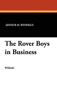 bokomslag The Rover Boys in Business