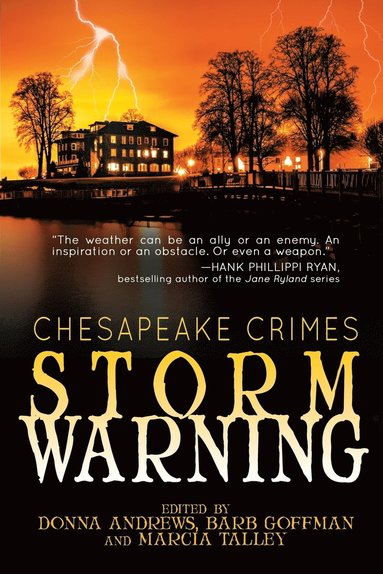 bokomslag Chesapeake Crimes