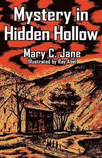 bokomslag Mystery in Hidden Hollow