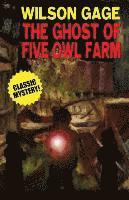 Wilson Gage, Mary Q Steele, Mary Q. Steele - Ghost of Five Owl Farm, Häftad