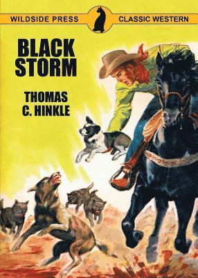 bokomslag Black Storm