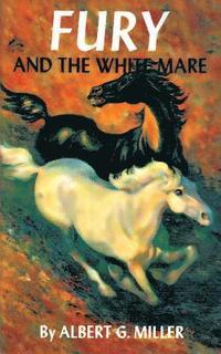 bokomslag Fury and the White Mare