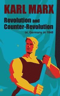 bokomslag Revolution and Counter-Revolution