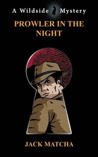 bokomslag Prowler in the Night