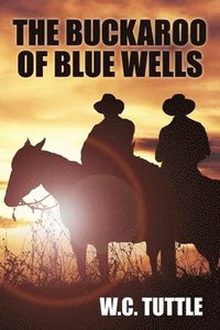 bokomslag The Buckaroo of Blue Wells