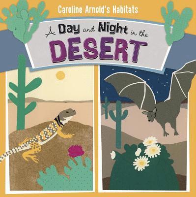 Day and Night in the Desert