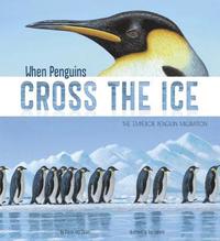 bokomslag Extraordinary Migrations When Penguins Cross the Ice the Emperor Penguin Migration
