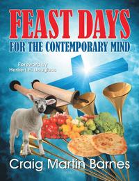bokomslag Feast Days for the Contemporary Mind