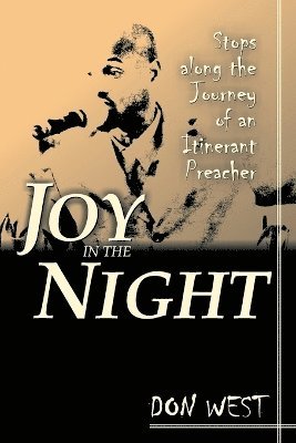 bokomslag Joy in the Night