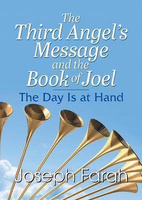 bokomslag Third Angel's Message and the Book of Joel