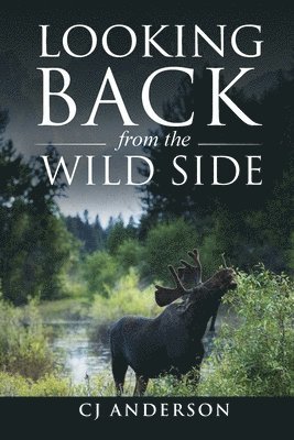 Looking Back from the Wild Side 1