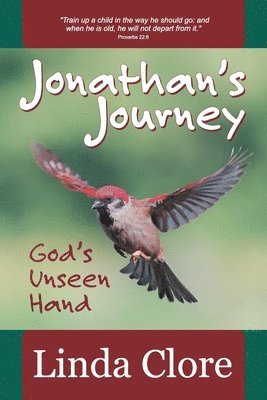bokomslag Jonathan's Journey