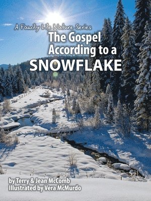 bokomslag Gospel According to a Snowflake