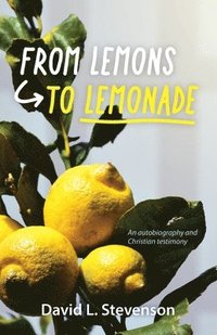 bokomslag From Lemons to Lemonade