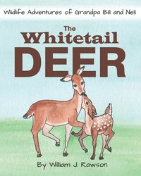 bokomslag The Whitetail Deer