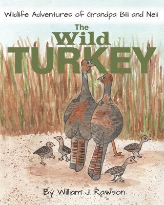 The Wild Turkey 1