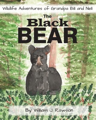 bokomslag The Black Bear