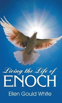 bokomslag Living the Life of Enoch