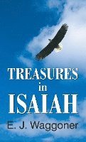 bokomslag Treasures in Isaiah