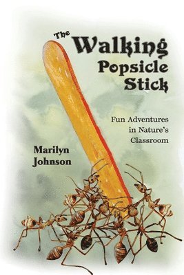 The Walking Popsicle Stick 1