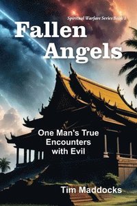 bokomslag Fallen Angels: One Man's True Encounters with Evil