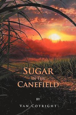 Sugar in the Canefield 1