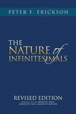 bokomslag NATURE of INFINITESIMALS
