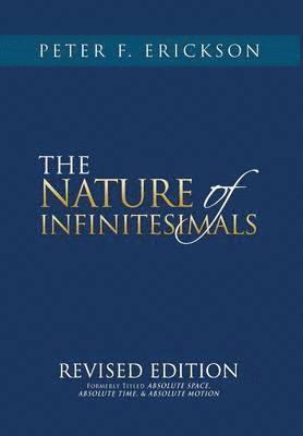bokomslag NATURE of INFINITESIMALS