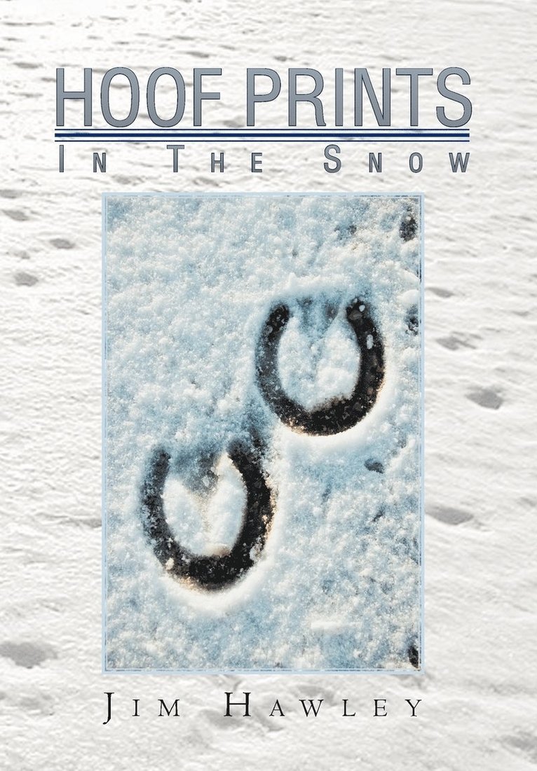 Hoof Prints in the Snow 1
