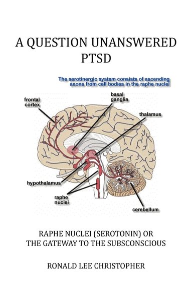 bokomslag A Question Unanswered Ptsd