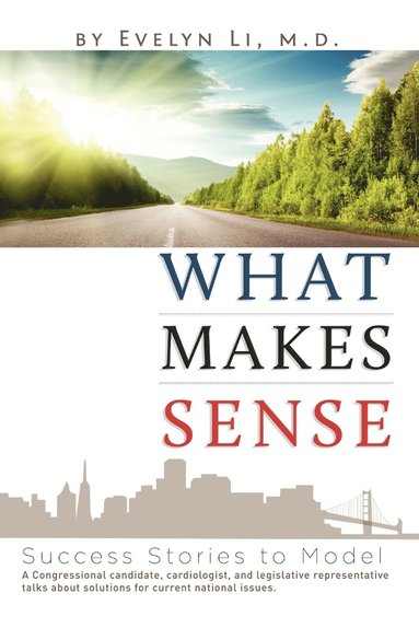 bokomslag What Makes Sense