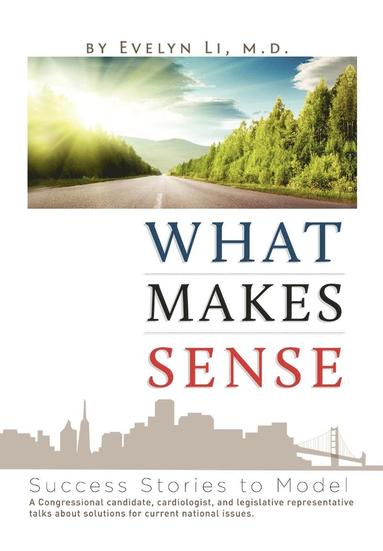 bokomslag What Makes Sense