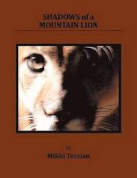 bokomslag Shadows of a Mountain Lion