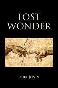 bokomslag Lost Wonder