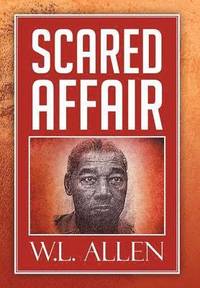 bokomslag Scared Affair