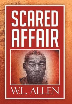 bokomslag Scared Affair