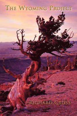 Richard Cross - Wyoming Project, Häftad