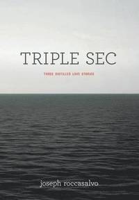 bokomslag Triple SEC