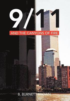 bokomslag 9/11 and the Canyons of Fire