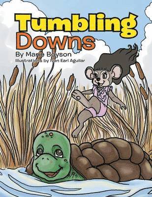 Tumbling Downs 1