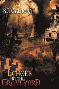 bokomslag Echoes in the Graveyard