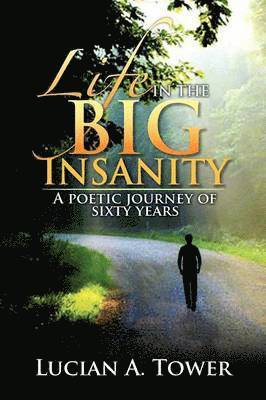 Life in the Big Insanity