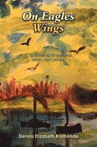 bokomslag On Eagles Wings